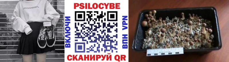 Галлюциногенные грибы GOLDEN TEACHER  купить закладку  Ясный 